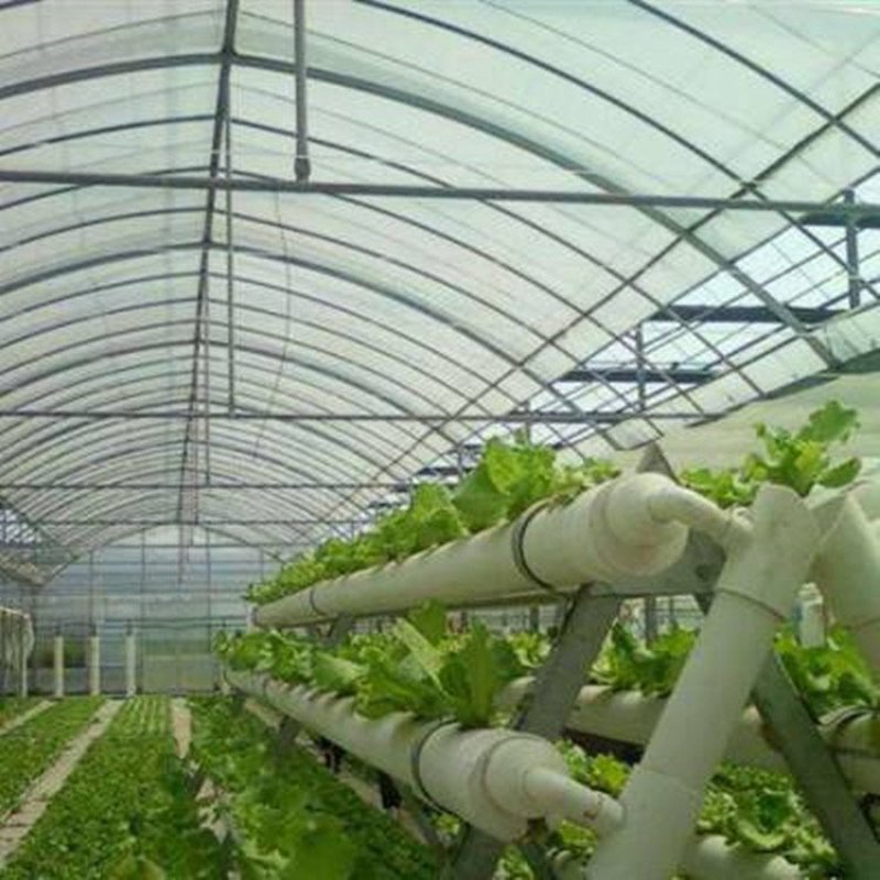 温室工程：农业发展的绿色引擎