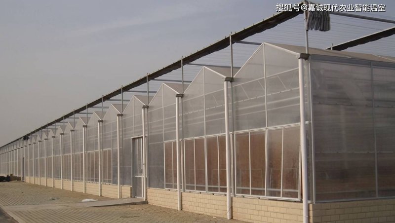 温室大棚施工中的那些创新技术与设计理念