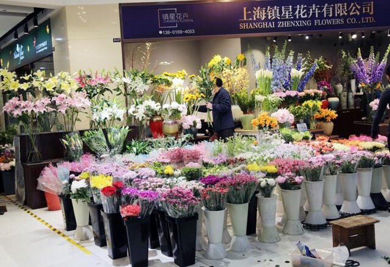 温室大棚施工技术与应用实例