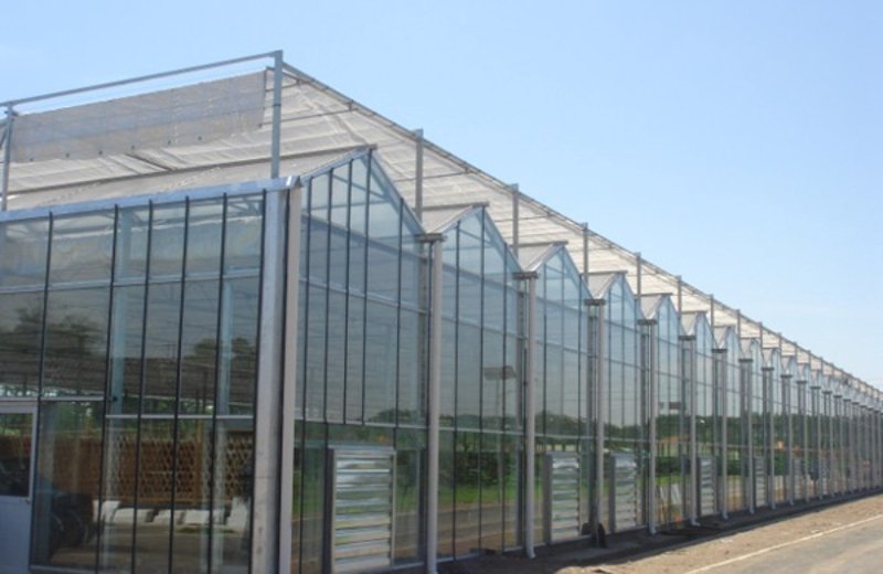 选购温室工程：打造绿色梦想的温馨小屋